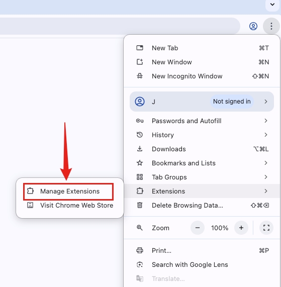 Open the "Manage Extensions" page